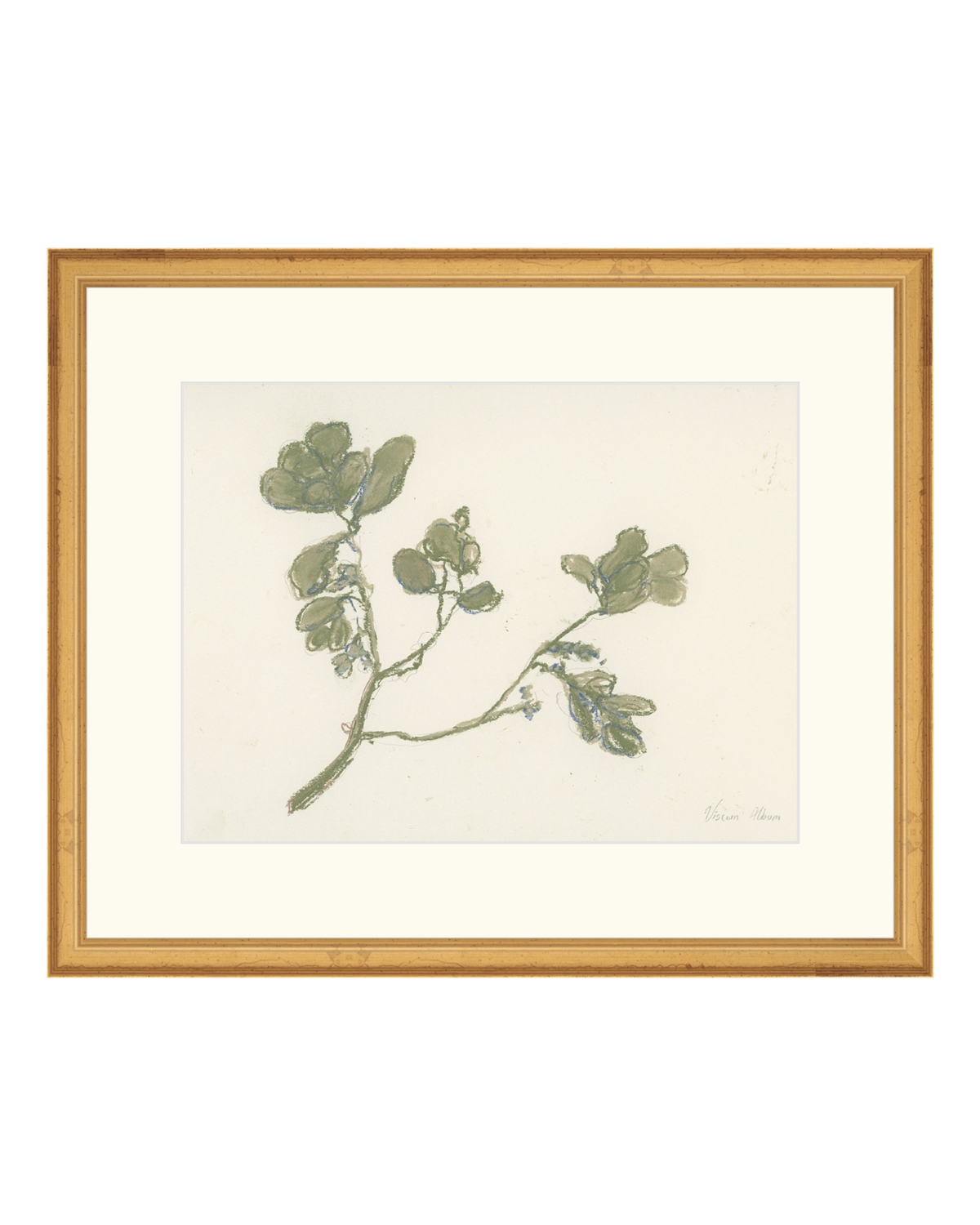 Pastel Mistletoe, photo 18 of 28