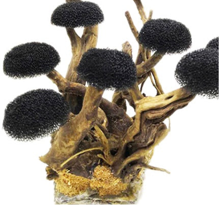 Moss Tree Chunks with Foam Head, photo 8 of 8