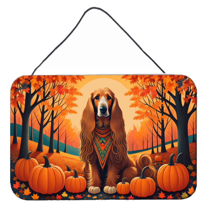 Afghan Hound Fall Wall or Door Hanging Prints