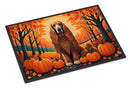Afghan Hound Fall Doormat - 24x36 Decorative Floor Mat – Indoor/Outdoor Rug with Artistic Flair
