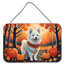 American Eskimo Fall Wall or Door Hanging Prints