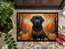 Black Labrador Retriever Fall Doormat -  18x27 Decorative Floor Mat – Indoor/Outdoor Rug