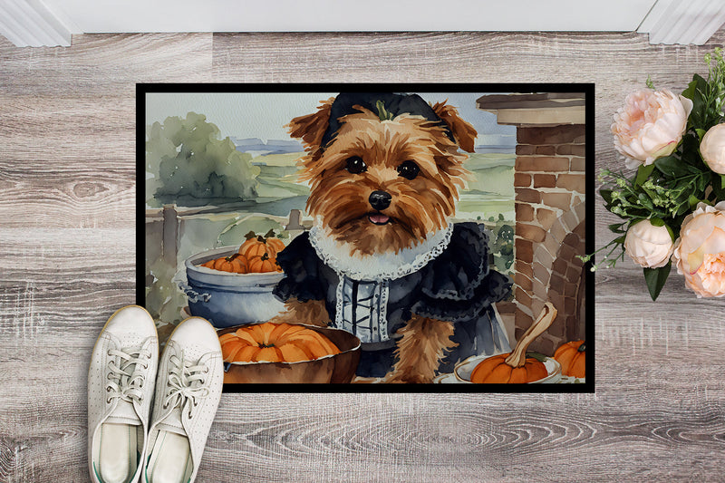 Norfolk Terrier Fall Kitchen Pumpkins Indoor or Outdoor Mat 24x36