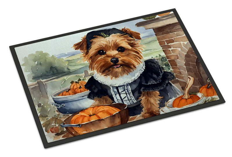 Norfolk Terrier Fall Kitchen Pumpkins Indoor or Outdoor Mat 24x36