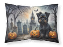Affenpinscher Spooky Halloween Fabric Standard Pillowcase – Artistic Decorative Front, White Back