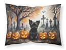 Affenpinscher Spooky Halloween Fabric Standard Pillowcase – Artistic Decorative Front, White Back
