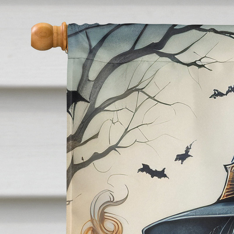 Witch Spooky Halloween House Flag