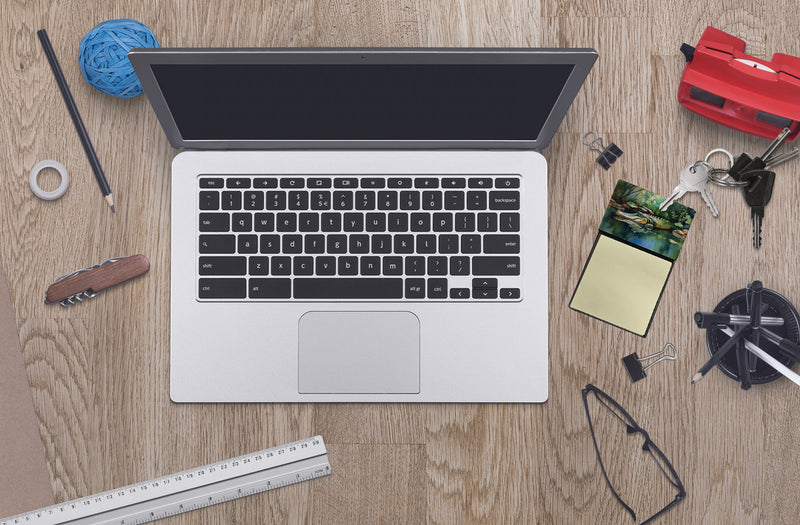 Alligator Sticky Note Holder- Refiilable Desk Accessory Note Pad