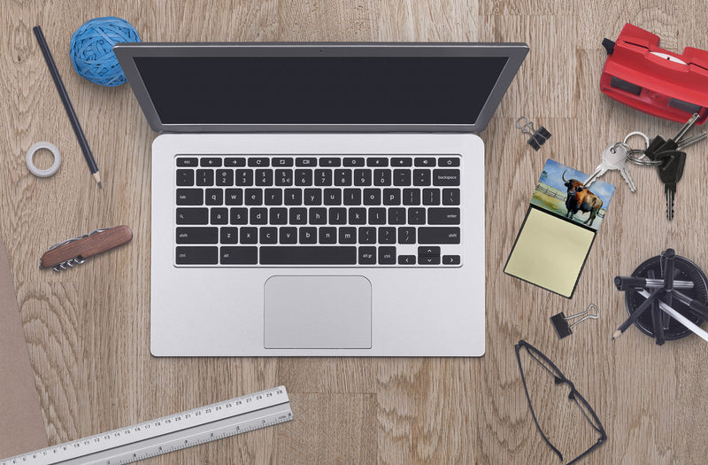 American Bison Sticky Note Holder- Refiilable Desk Accessory Note Pad