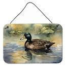 American Black Duck Wall or Door Hanging Prints