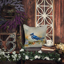 Blue Jay Throw Pillow - 14x14 Decorative Pillow – Art for Your Home & Patio