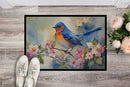 Bluebird Doormat-24x36 Indoor / Outdoor Rug | Made in USA