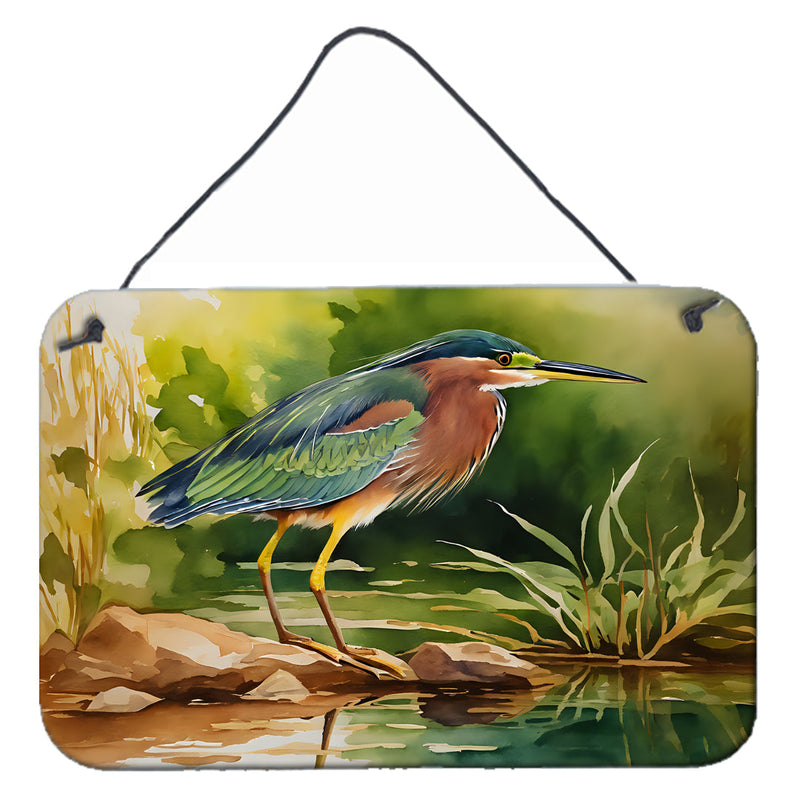Green Heron Wall or Door Hanging Prints