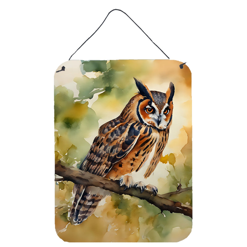 Long-Eared Owl Wall or Door Hanging Prints