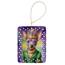 American Hairless Terrier King of Mardi Gras Porcelain Ornament