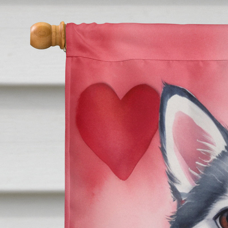 Alaskan Klee Kai My Valentine House Flag