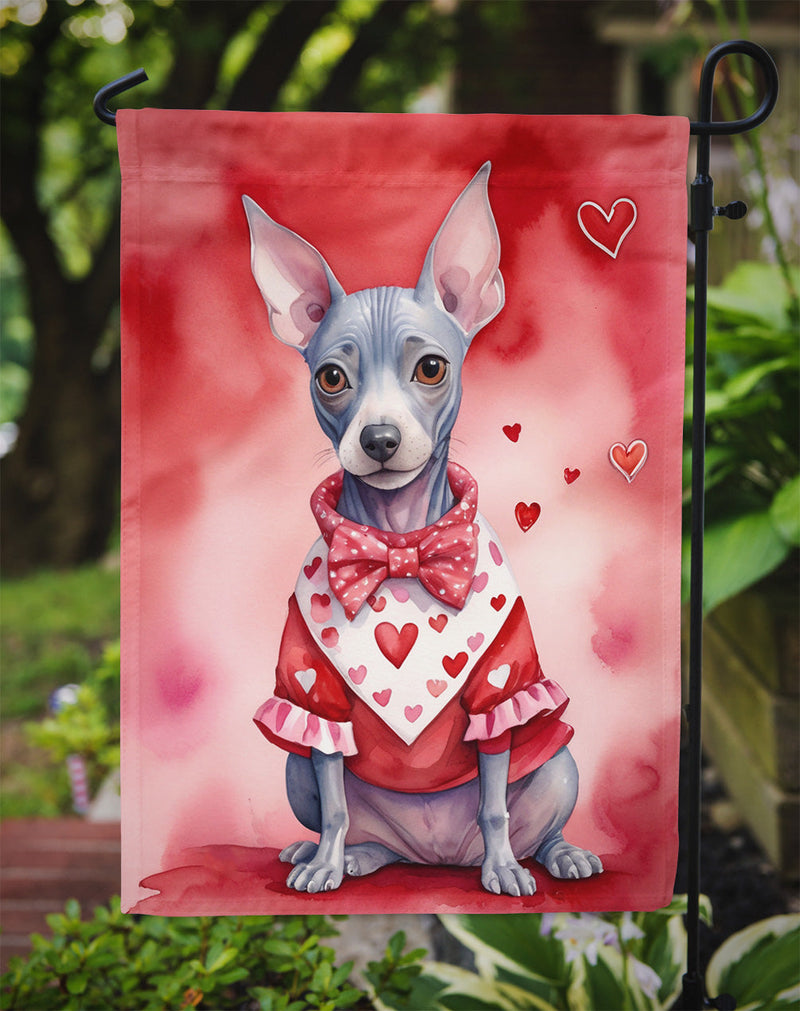 American Hairless Terrier My Valentine Garden Flag