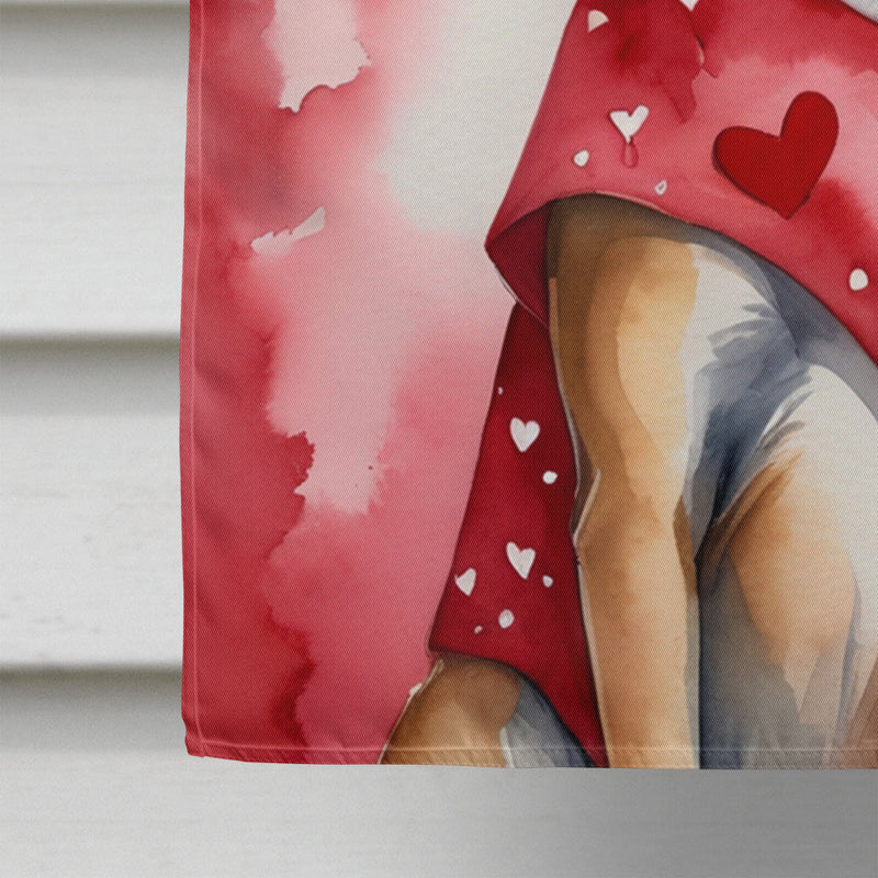 Belgian Malinois My Valentine House Flag