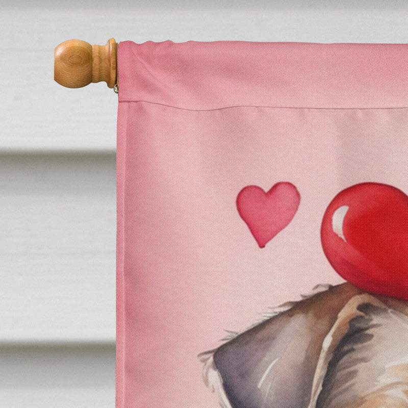 Border Terrier My Valentine House Flag