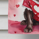 Boykin Spaniel My Valentine House Flag