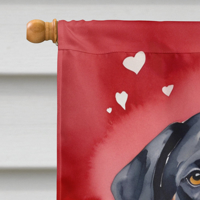 Greater Swiss Mountain Dog My Valentine House Flag