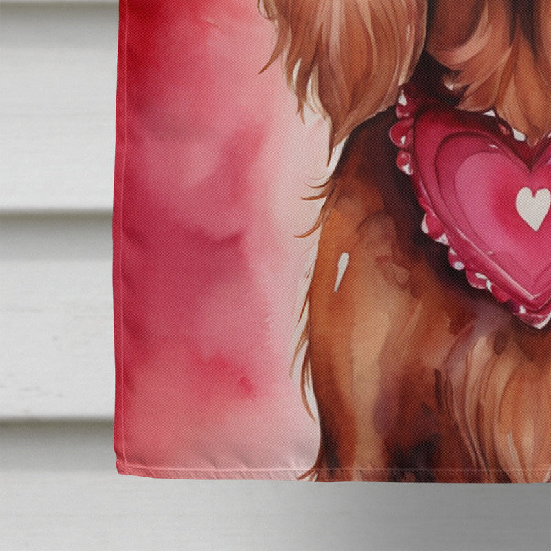 Irish Setter My Valentine House Flag
