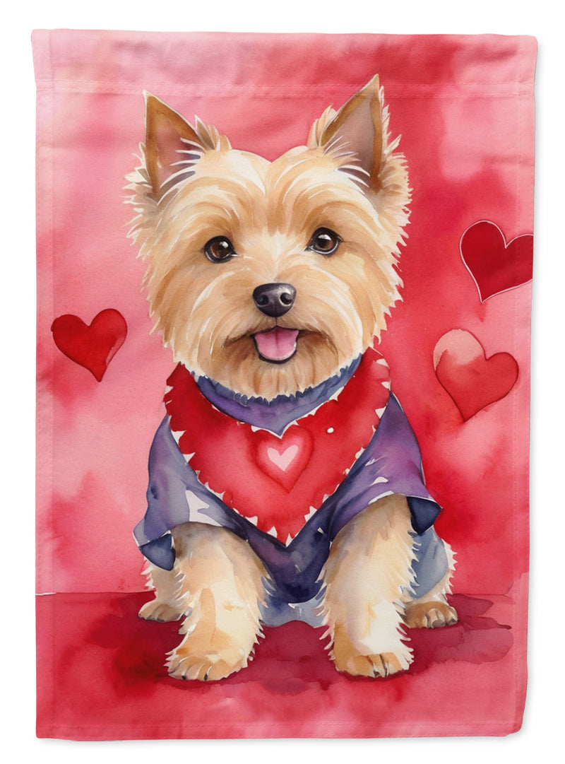 Norwich Terrier Valentine’s Day Garden Flag – Dog-Themed Heart Yard Decor