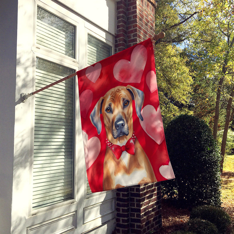 Rhodesian Ridgeback My Valentine House Flag