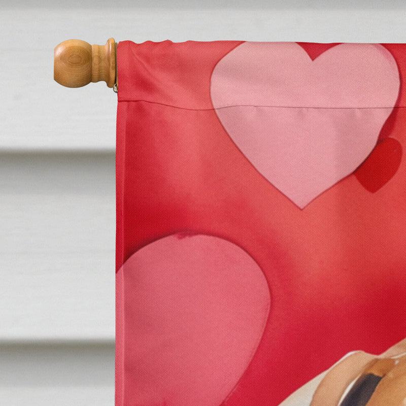 Rhodesian Ridgeback My Valentine House Flag