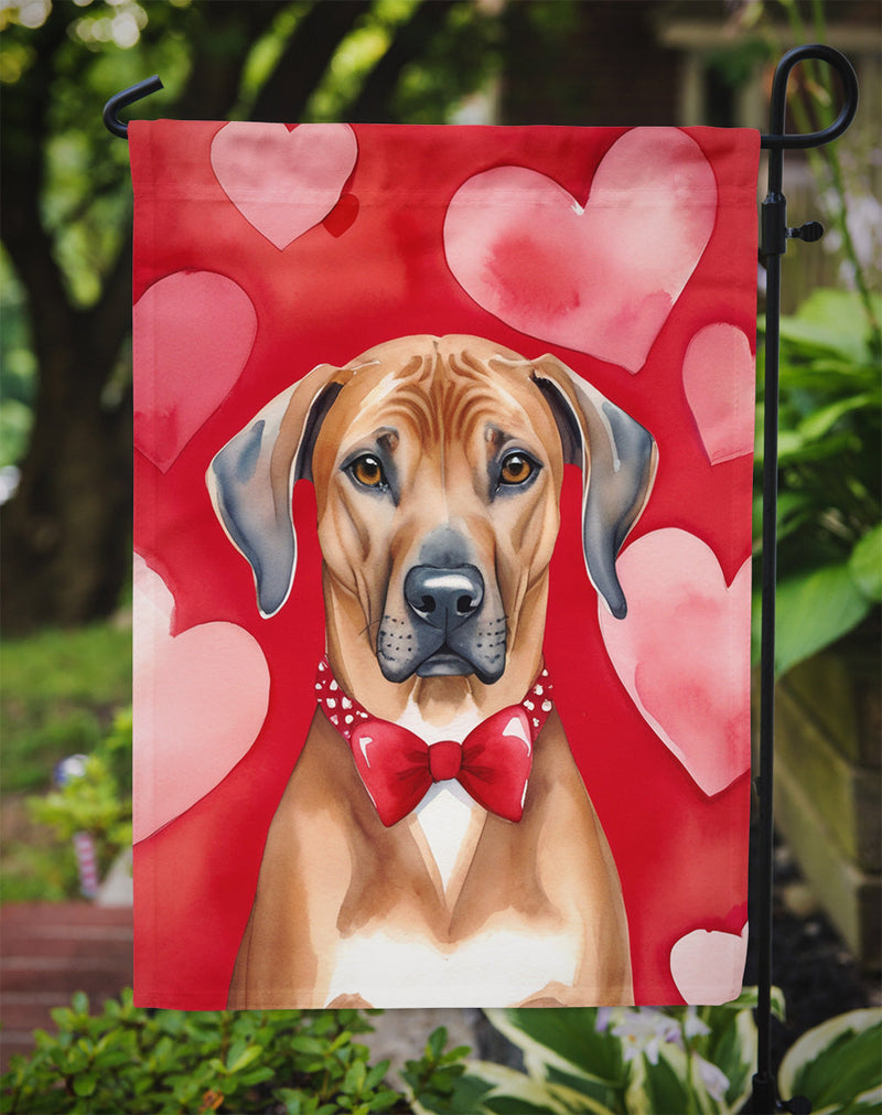 Rhodesian Ridgeback Valentine’s Day Garden Flag – Dog-Themed Heart Yard Decor