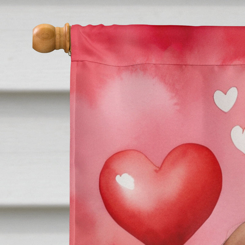 Welsh Springer Spaniel My Valentine House Flag