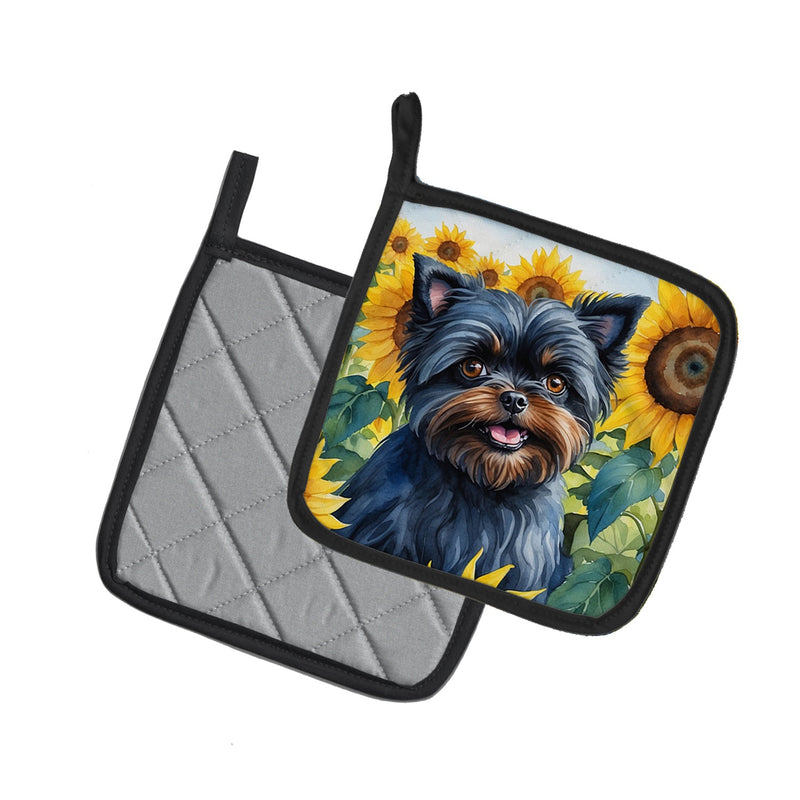 Affenpinscher in Sunflowers Pair of Pot Holders