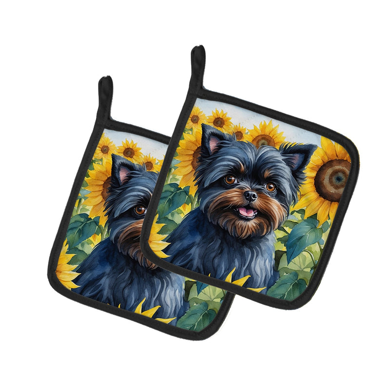 Affenpinscher in Sunflowers Pair of Pot Holders