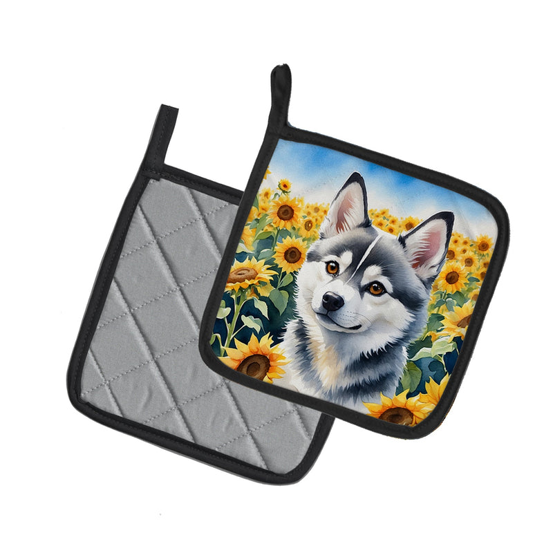 Alaskan Klee Kai in Sunflowers Pair of Pot Holders