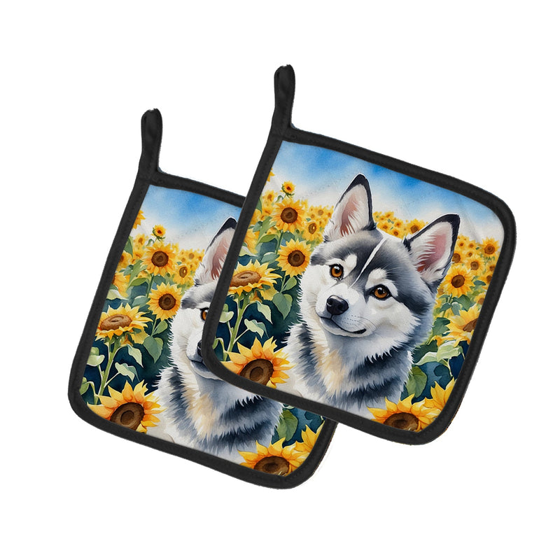 Alaskan Klee Kai in Sunflowers Pair of Pot Holders