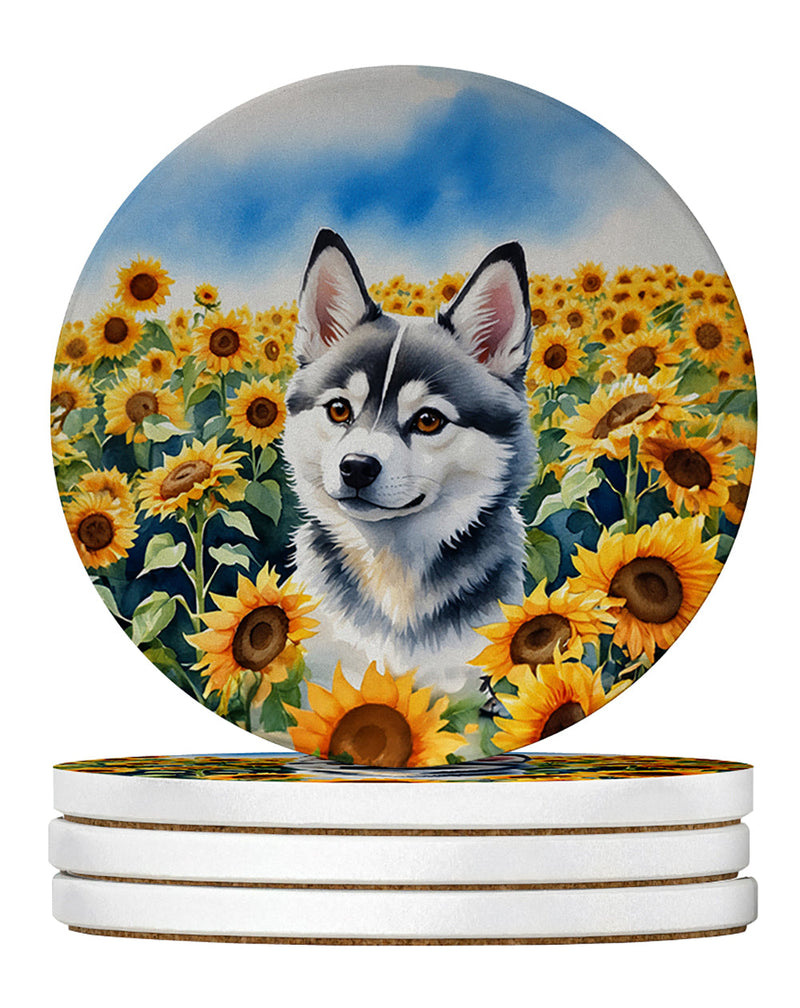 Alaskan Klee Kai in Sunflowers Large Sandstone Coasters Pack of 4