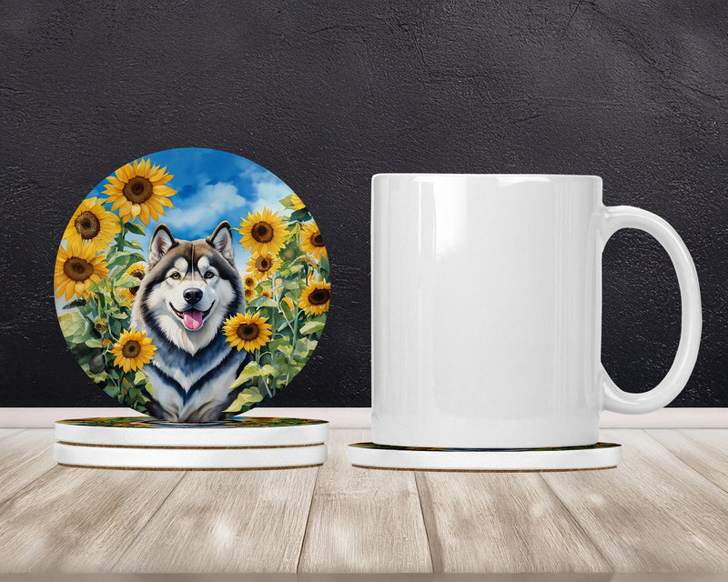 Alaskan Malamute in Sunflowers Large Sandstone Coasters Pack of 4