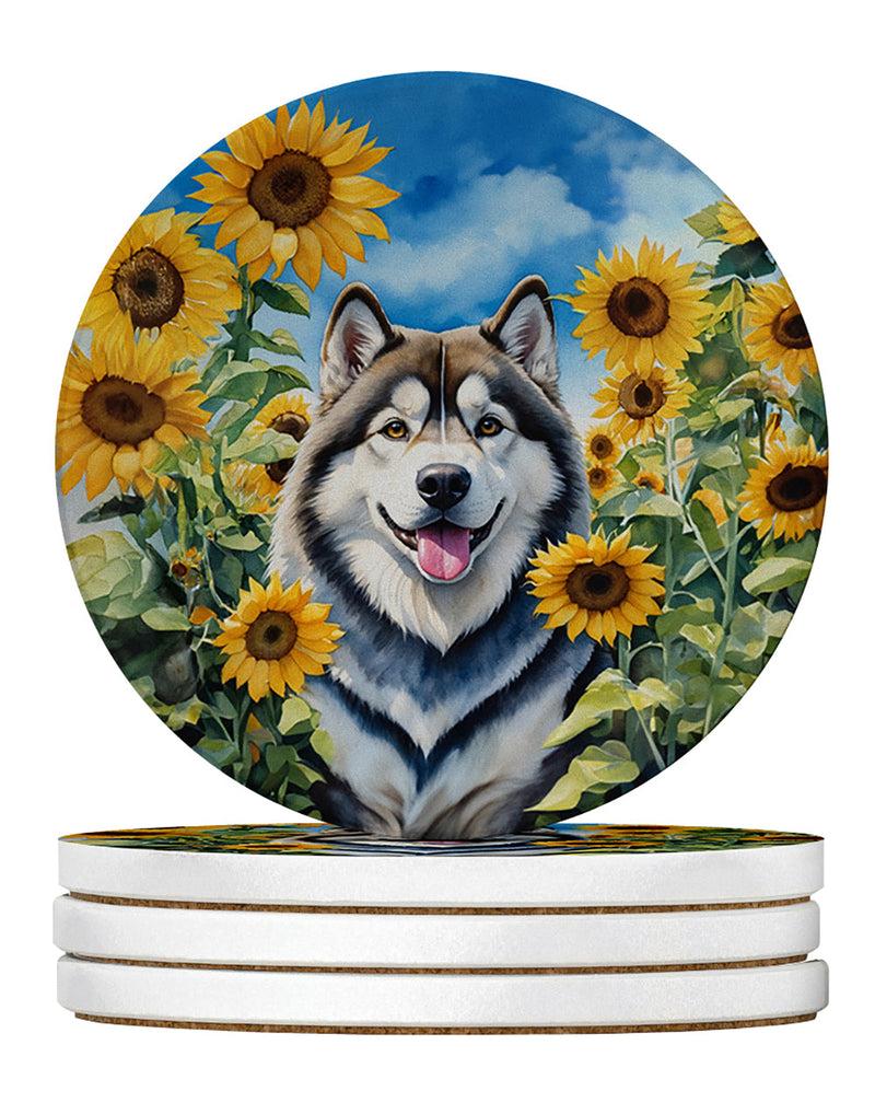 Alaskan Malamute in Sunflowers Large Sandstone Coasters Pack of 4