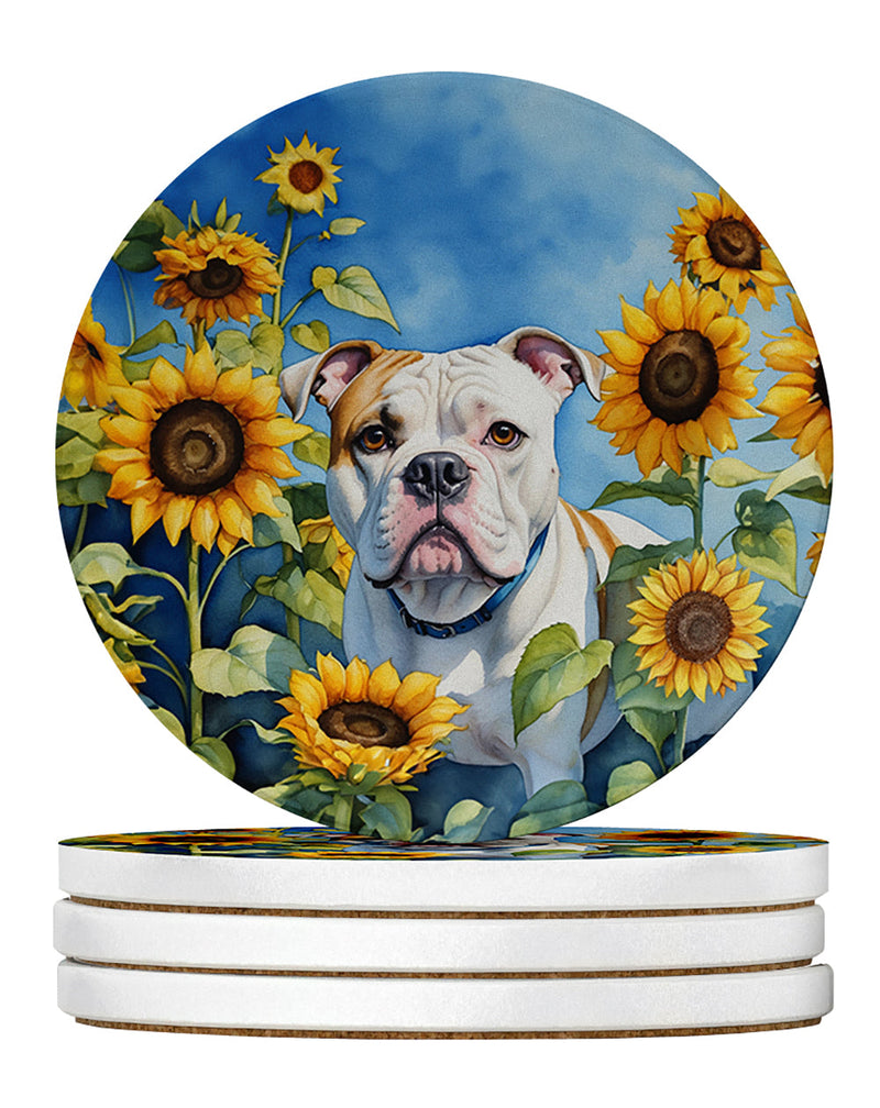 American Bulldog in Sunflowers Large Sandstone Coasters Pack of 4