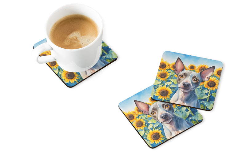 American Hairless Terrier in Sunflowers Coasters - Set of 4 Lightweight Foam, Absorbent Drink Coasters