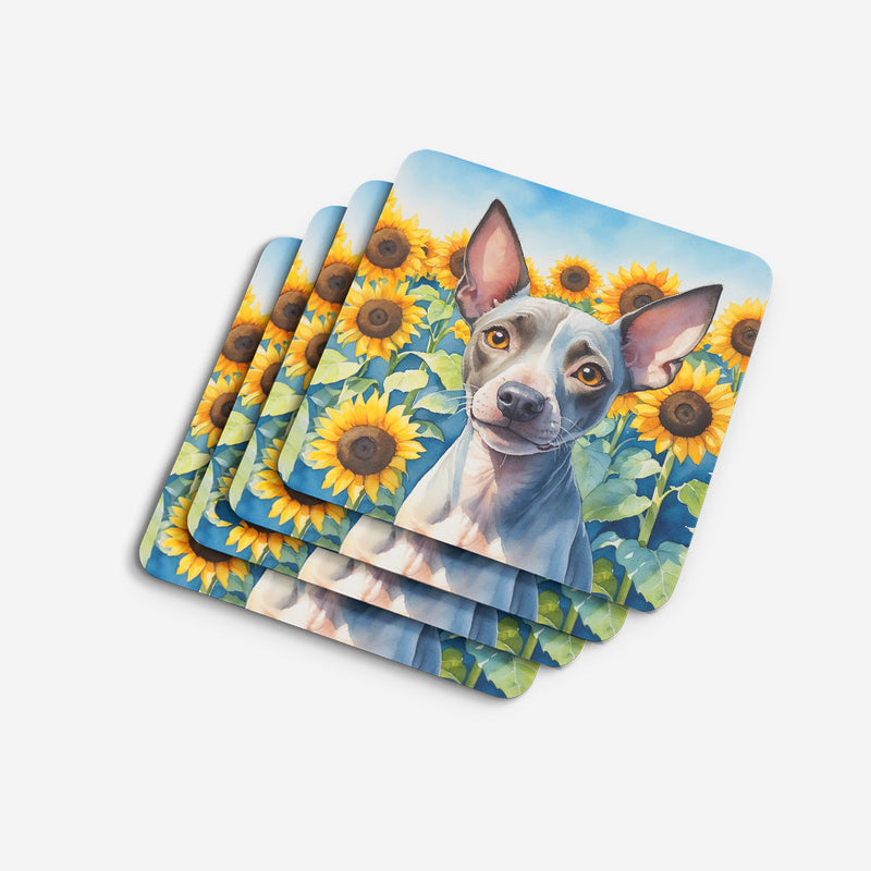 American Hairless Terrier in Sunflowers Coasters - Set of 4 Lightweight Foam, Absorbent Drink Coasters