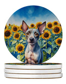 American Hairless Terrier in Sunflowers Large Sandstone Coasters Pack of 4
