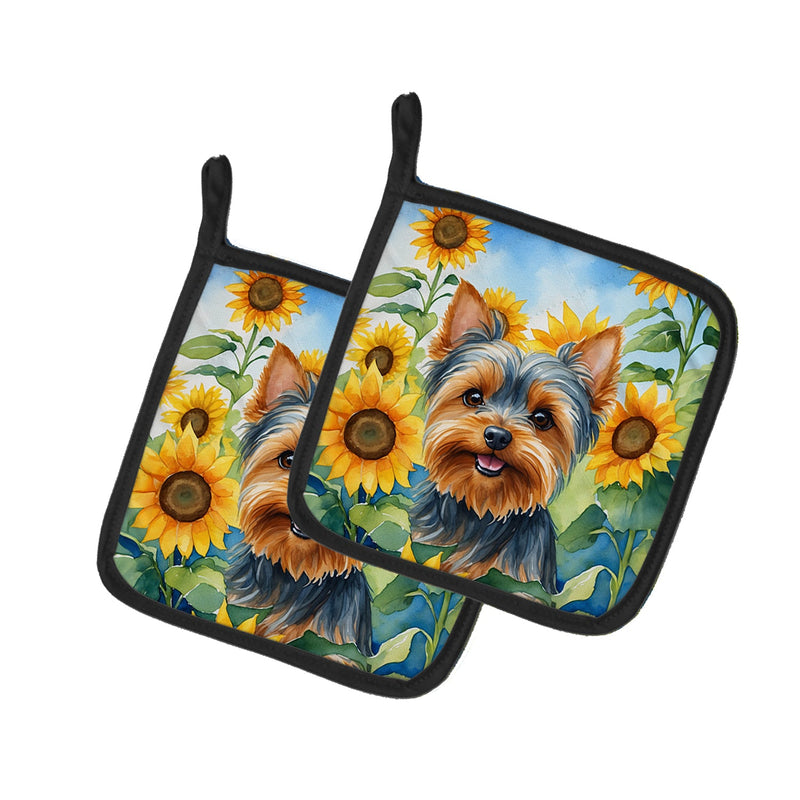 Yorkshire Terrier in Sunflowers Pair of Pot Holders