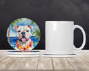 American Bulldog Luau Large Sandstone Coasters Pack of 4