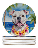 American Bulldog Luau Large Sandstone Coasters Pack of 4