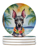 American Hairless Terrier Luau Large Sandstone Coasters Pack of 4