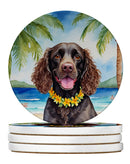 American Water Spaniel Luau Large Sandstone Coasters Pack of 4