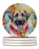 Anatolian Shepherd Luau Large Sandstone Coasters Pack of 4