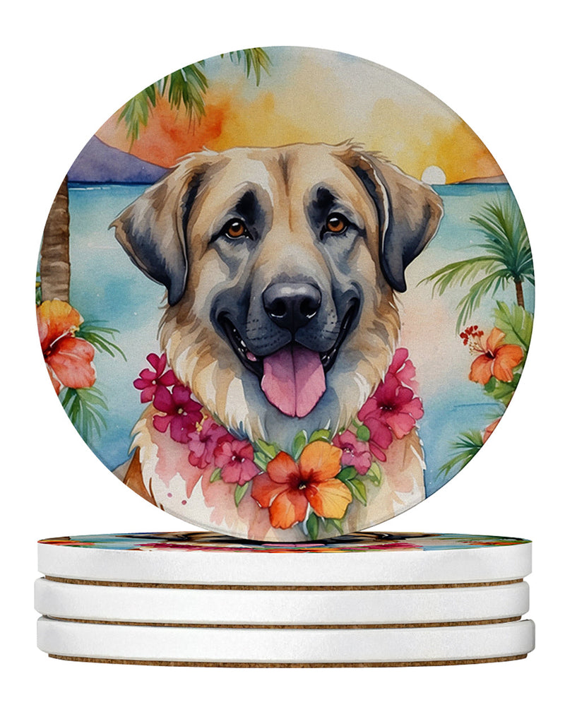 Anatolian Shepherd Luau Large Sandstone Coasters Pack of 4