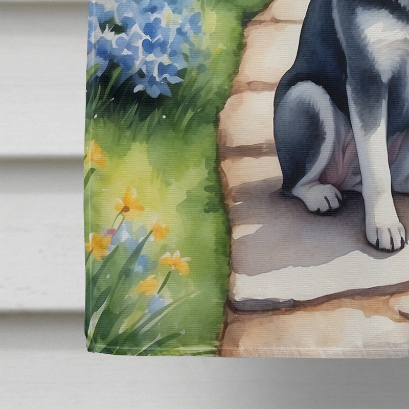 Alaskan Klee Kai Spring Path House Flag